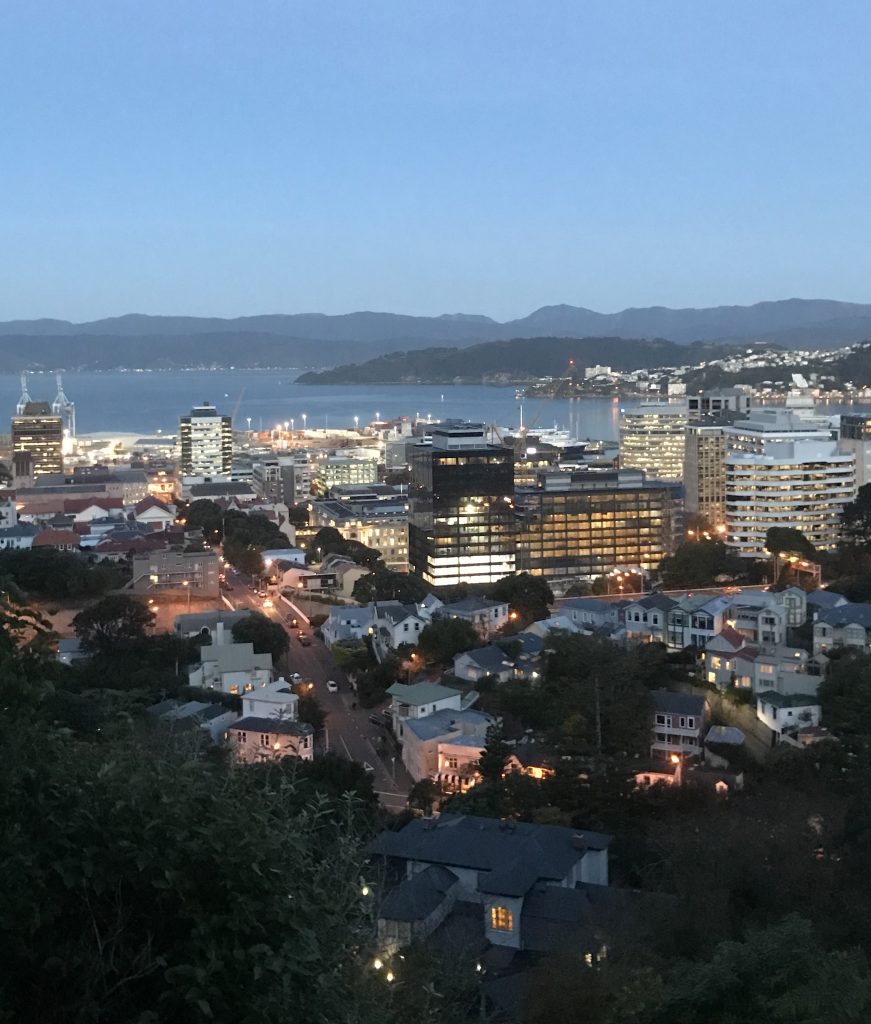 Looking South over Wellington Bay.