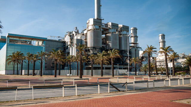 A factory building in a sunny location with palm trees in front