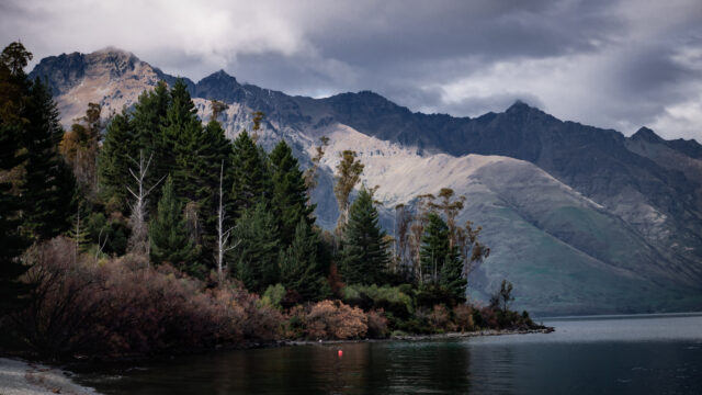 Landscape image of a lake with a mountain background in New Zealand. In the foreground of the image a line of coniferous trees occupy the left of the image. The colours of the image are shadowy and purple giving it a mysterious look.