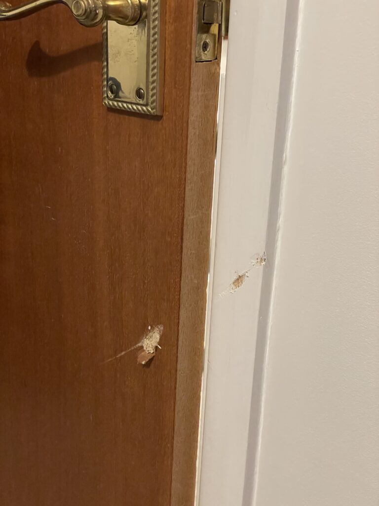 A wooden veneered door and doorframe where the wood has been chipped away and damaged