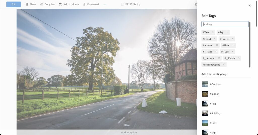 Screenshot of the tagging interface in Microsoft OneDrive with my arbitrary slideshowsync tag applied to a photo.